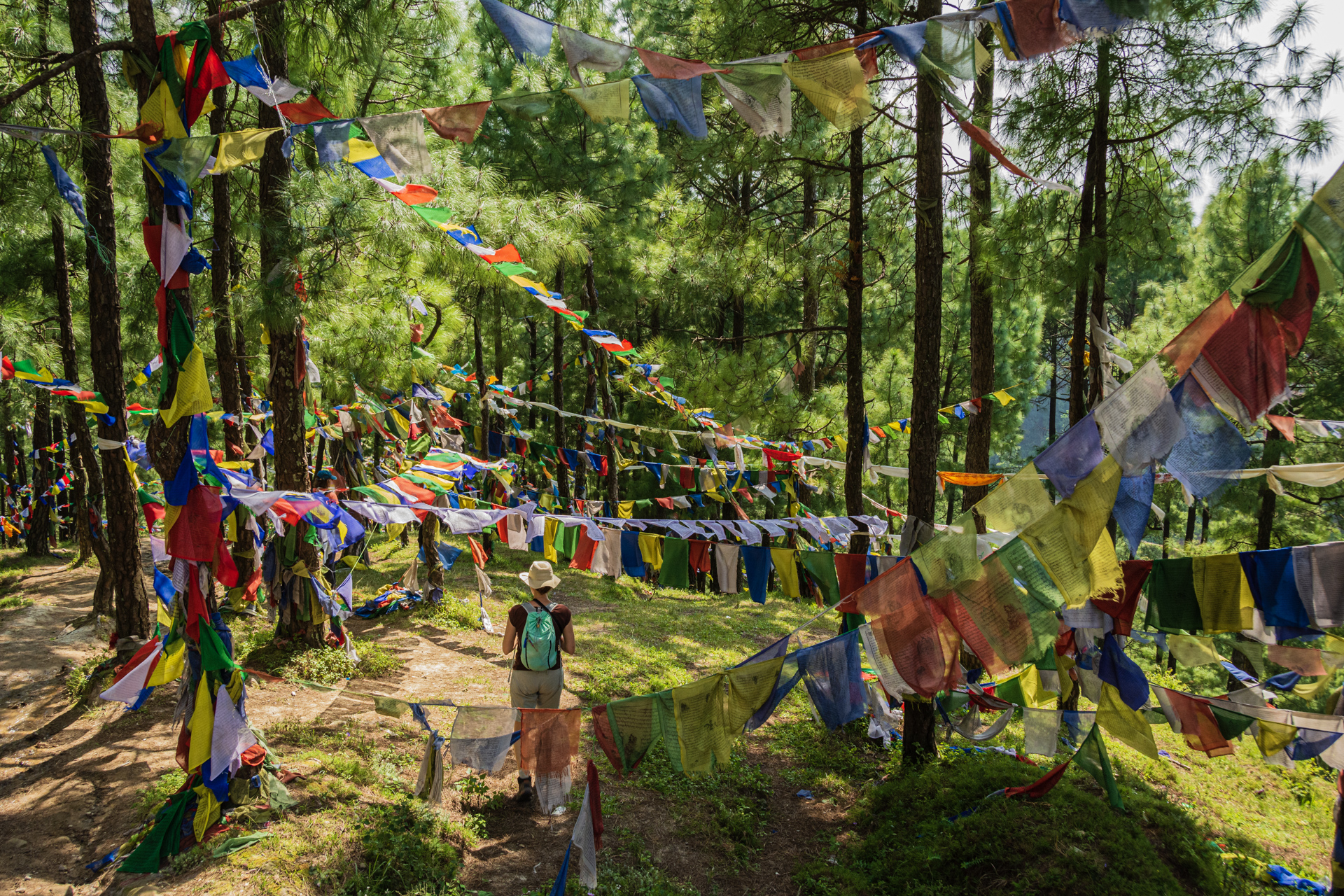 Kathmandu Shivapuri National Park